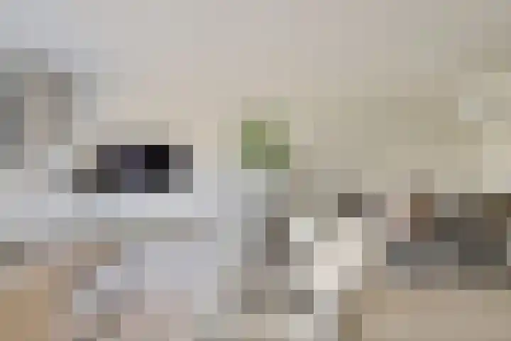 Filmlaan 11 Zoetermeer thumbnail 16