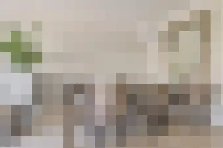Filmlaan 11 Zoetermeer thumbnail 18