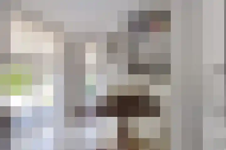 Filmlaan 11 Zoetermeer thumbnail 19