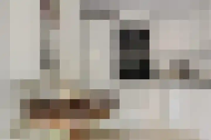 Filmlaan 11 Zoetermeer thumbnail 20