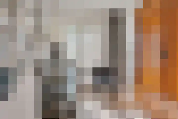Filmlaan 11 Zoetermeer thumbnail 25