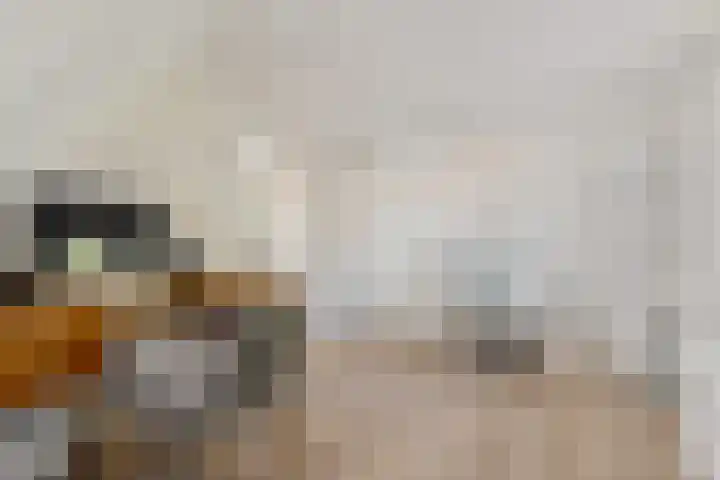 Filmlaan 11 Zoetermeer thumbnail 29