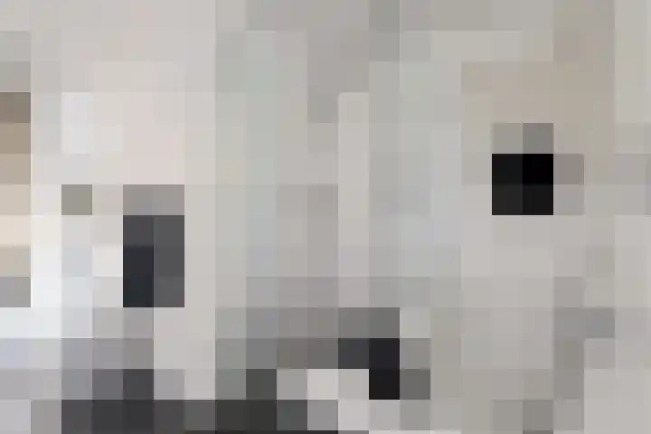 Filmlaan 11 Zoetermeer thumbnail 30
