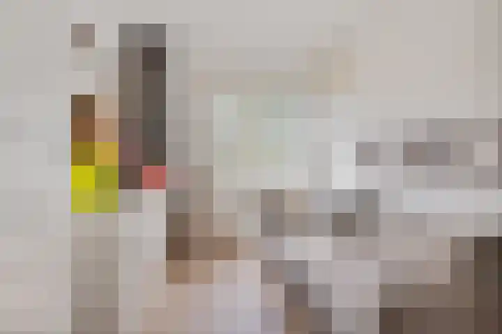Filmlaan 11 Zoetermeer thumbnail 32