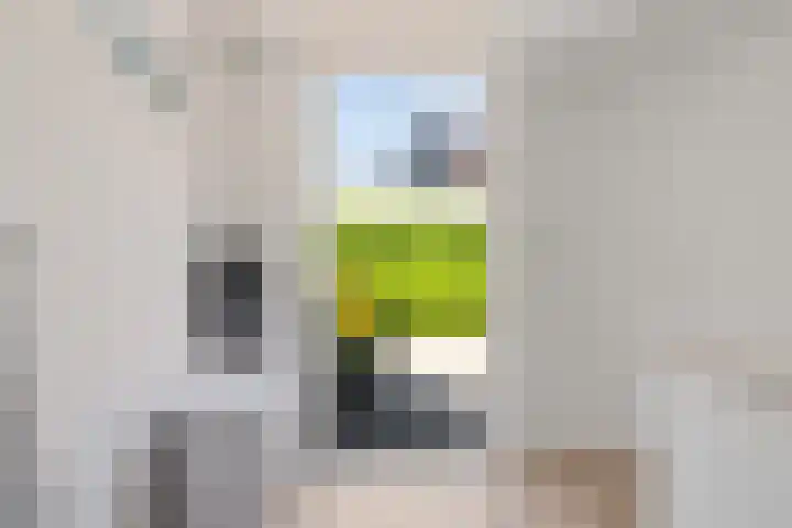 Filmlaan 11 Zoetermeer thumbnail 34