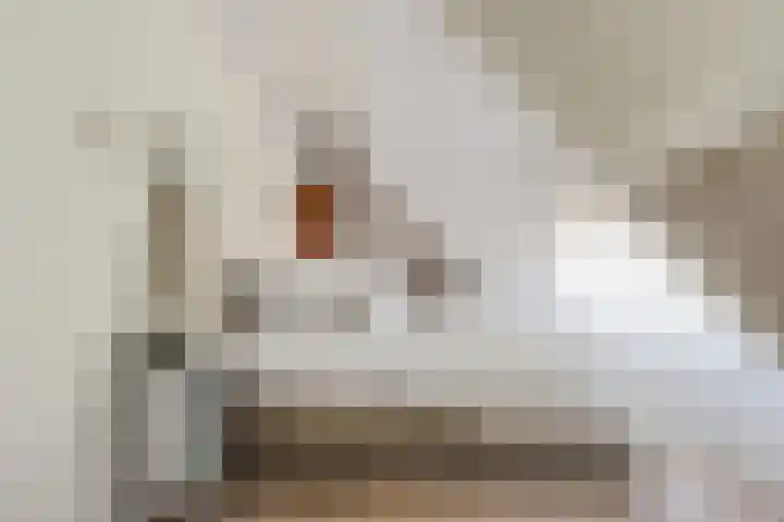 Filmlaan 11 Zoetermeer thumbnail 42