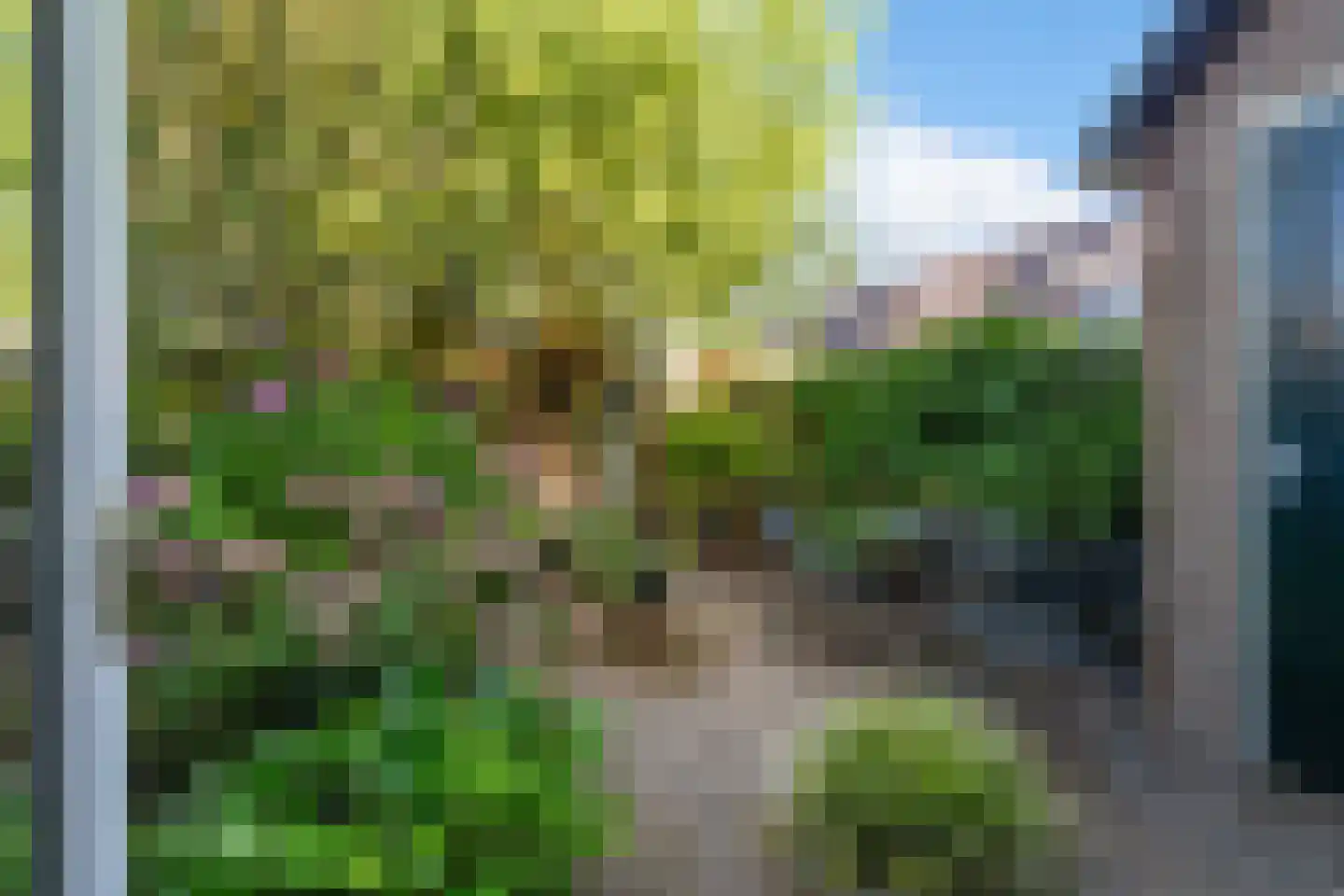 Filmlaan 3 Zoetermeer thumbnail 14
