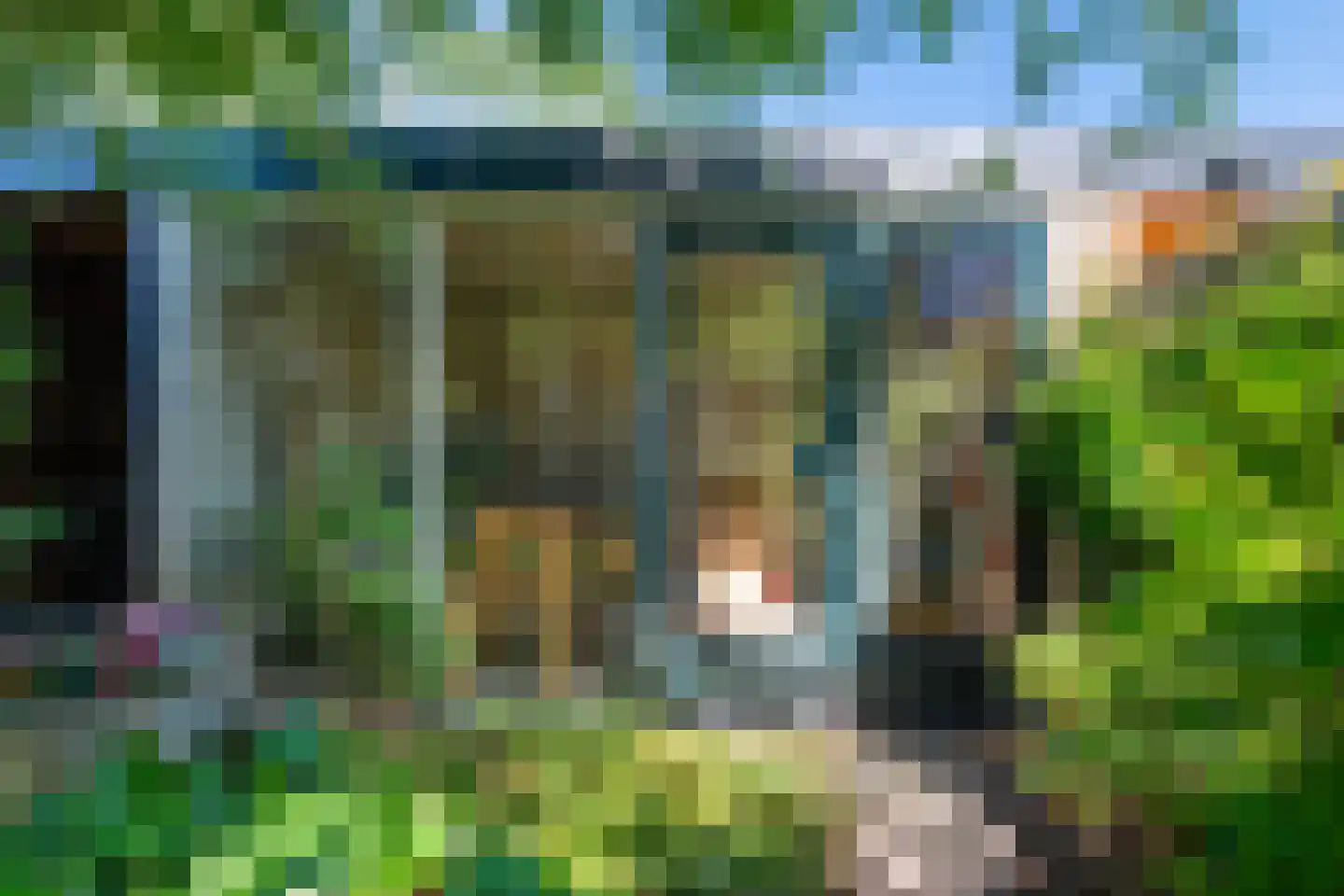 Filmlaan 3 Zoetermeer thumbnail 18
