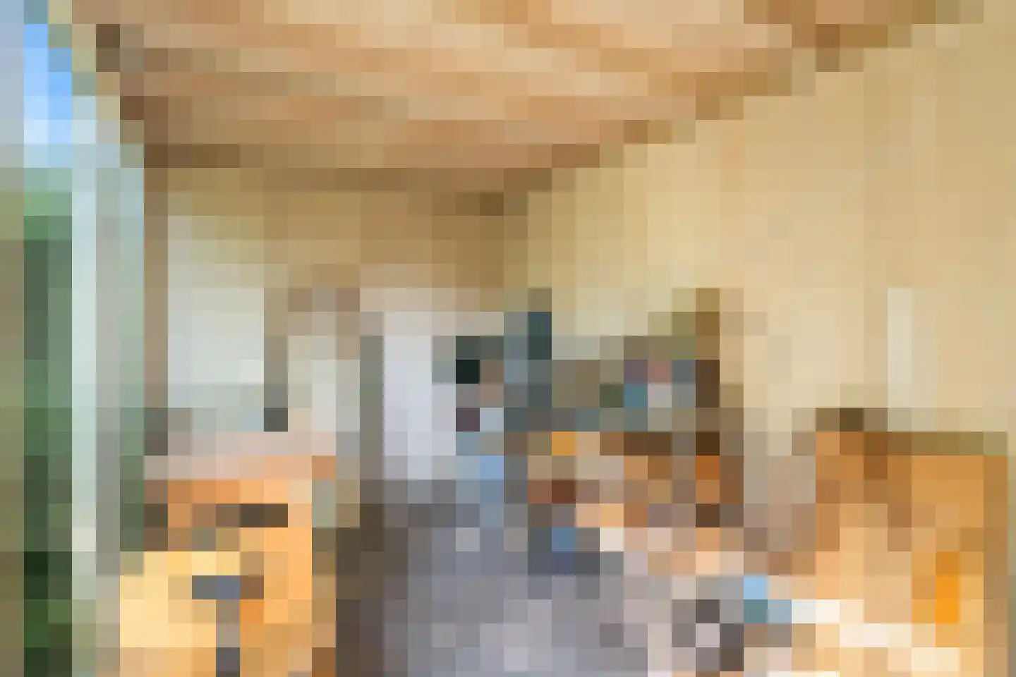 Filmlaan 3 Zoetermeer thumbnail 19