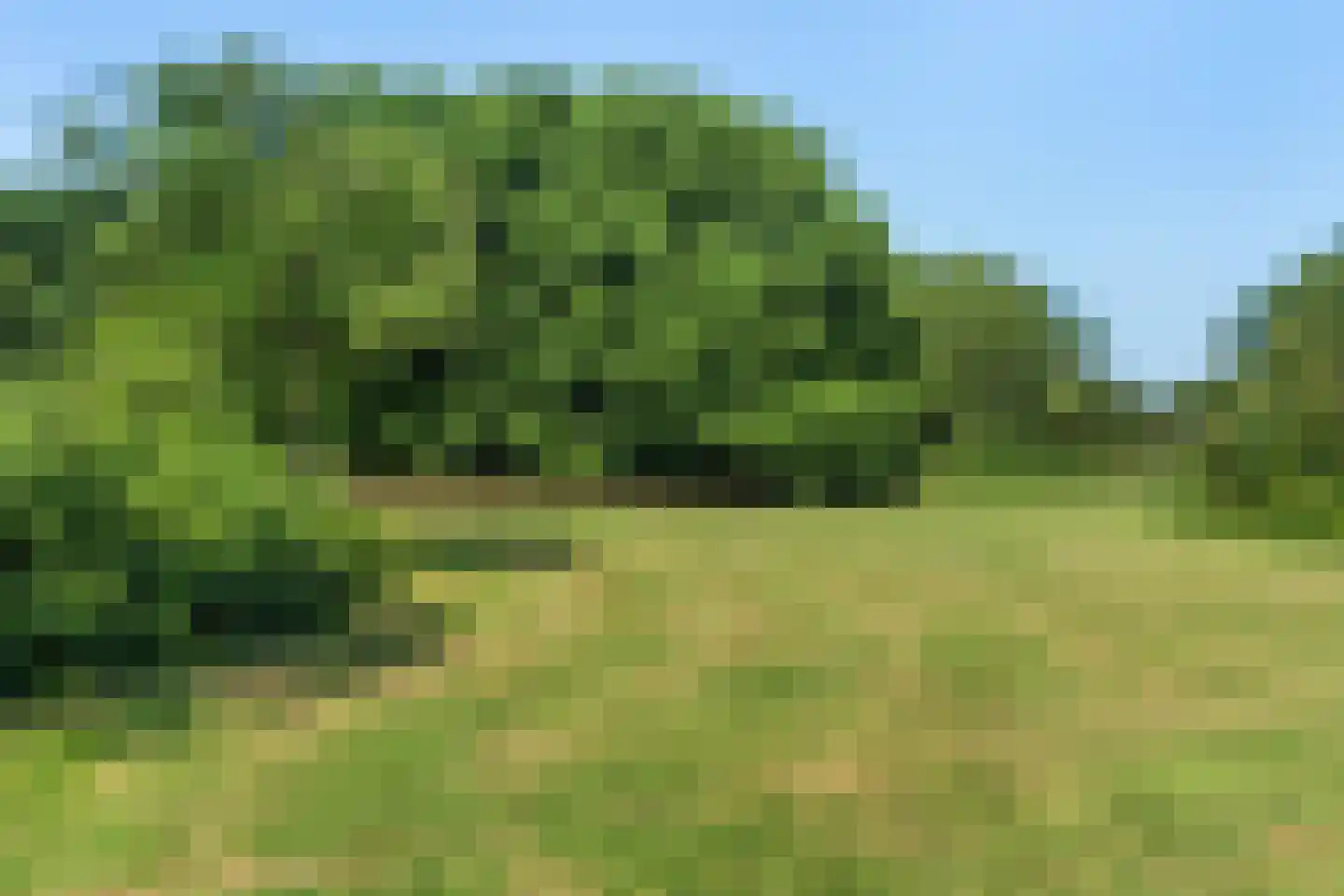 Filmlaan 3 Zoetermeer thumbnail 48