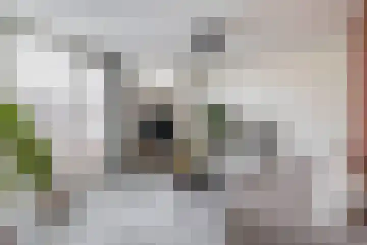 Filomeentje erf 100 Capelle aan den IJssel thumbnail 13