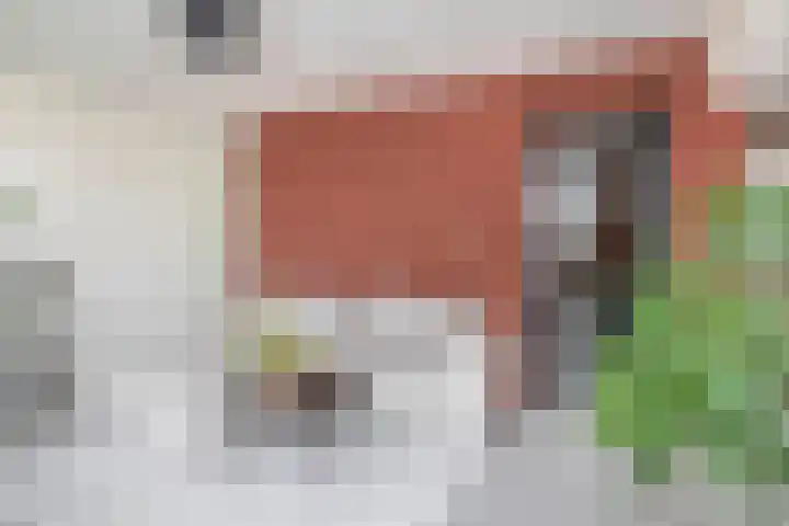 Filomeentje erf 100 Capelle aan den IJssel thumbnail 15