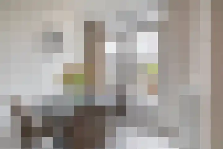 Filomeentje erf 100 Capelle aan den IJssel thumbnail 16