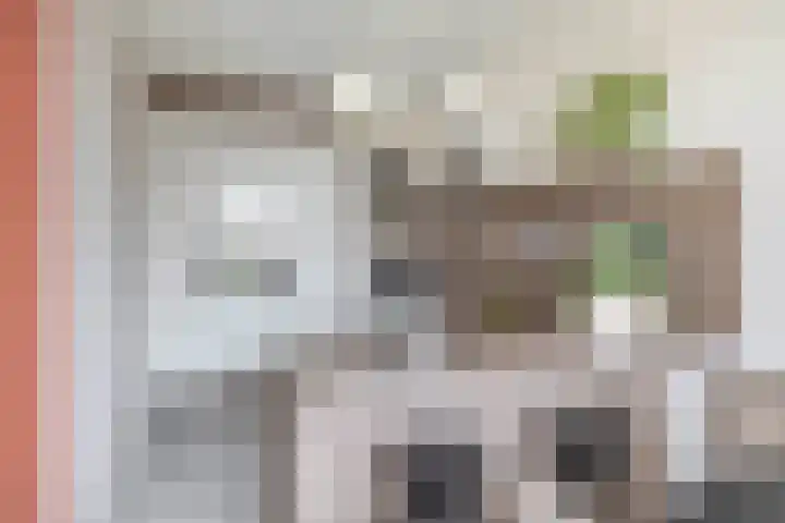 Filomeentje erf 100 Capelle aan den IJssel thumbnail 17