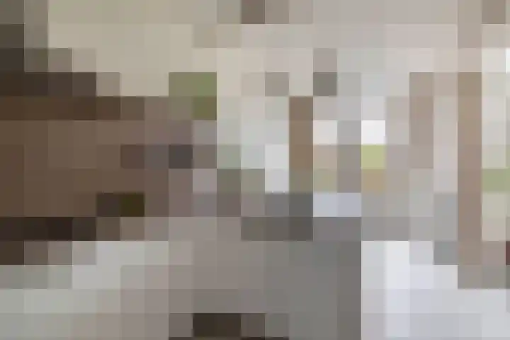 Filomeentje erf 100 Capelle aan den IJssel thumbnail 19