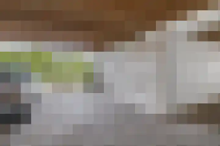 Filomeentje erf 100 Capelle aan den IJssel thumbnail 27