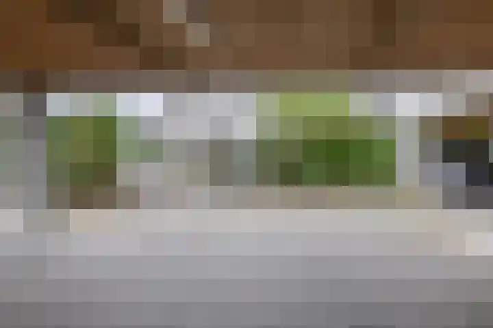 Filomeentje erf 100 Capelle aan den IJssel thumbnail 28