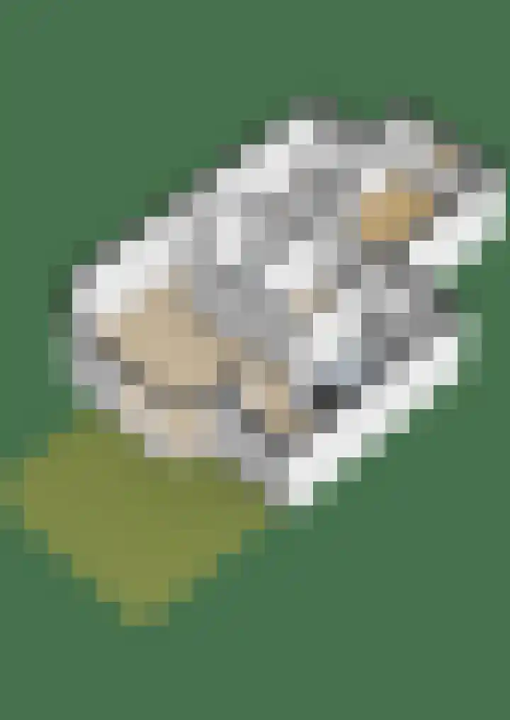 Filomeentje erf 100 Capelle aan den IJssel thumbnail 37