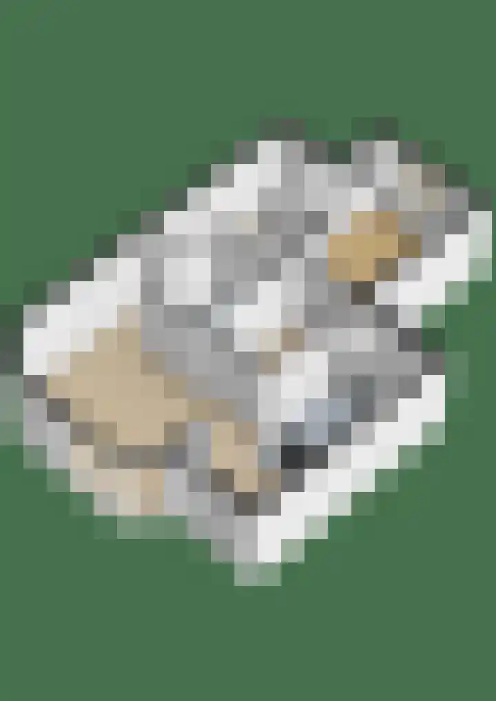 Filomeentje erf 100 Capelle aan den IJssel thumbnail 39