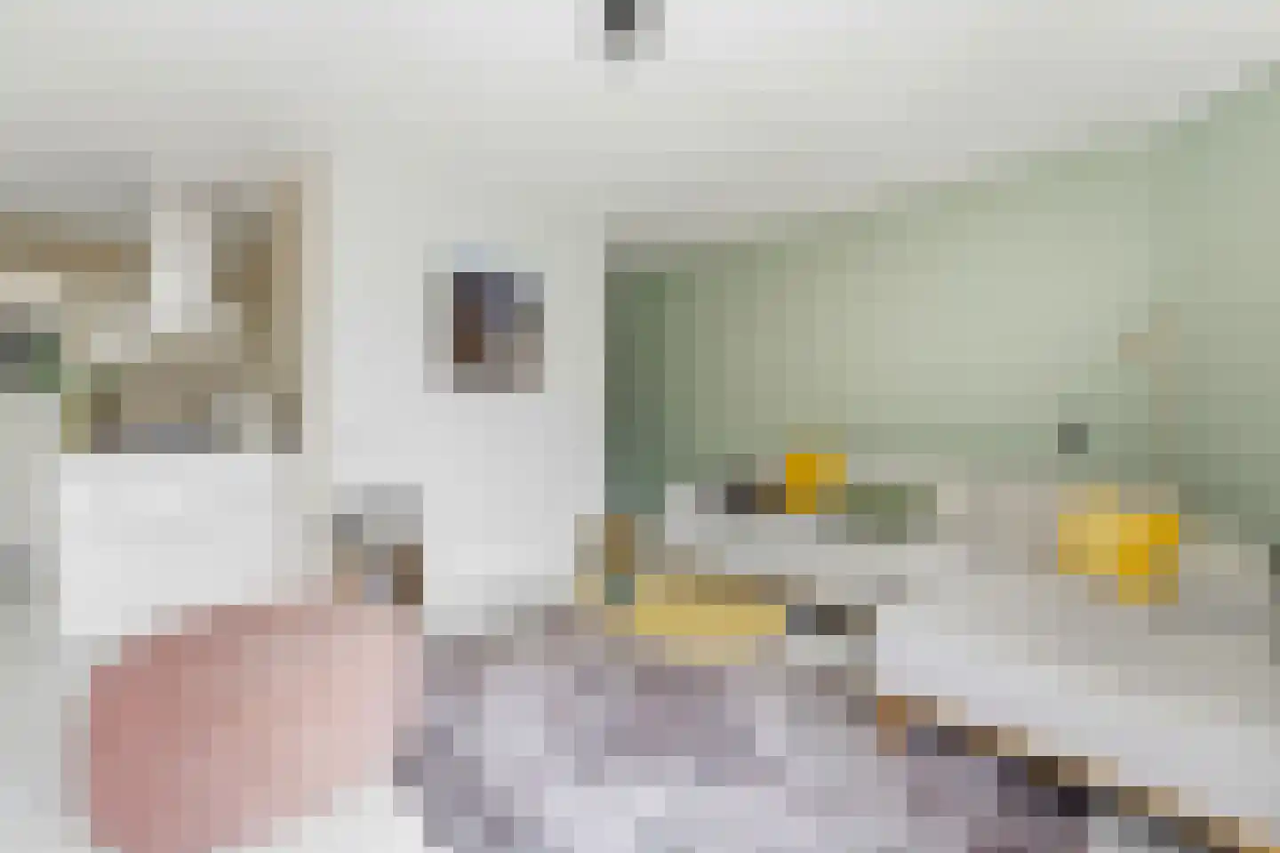 Filomeentje erf 102 Capelle aan den IJssel thumbnail 10