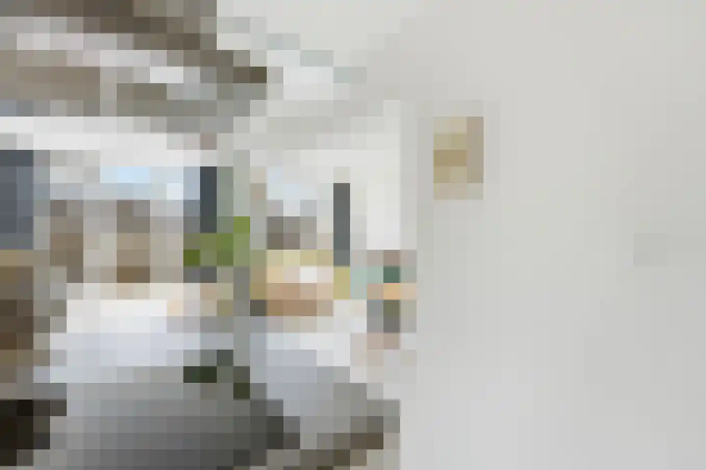 Filomeentje erf 102 Capelle aan den IJssel thumbnail 12