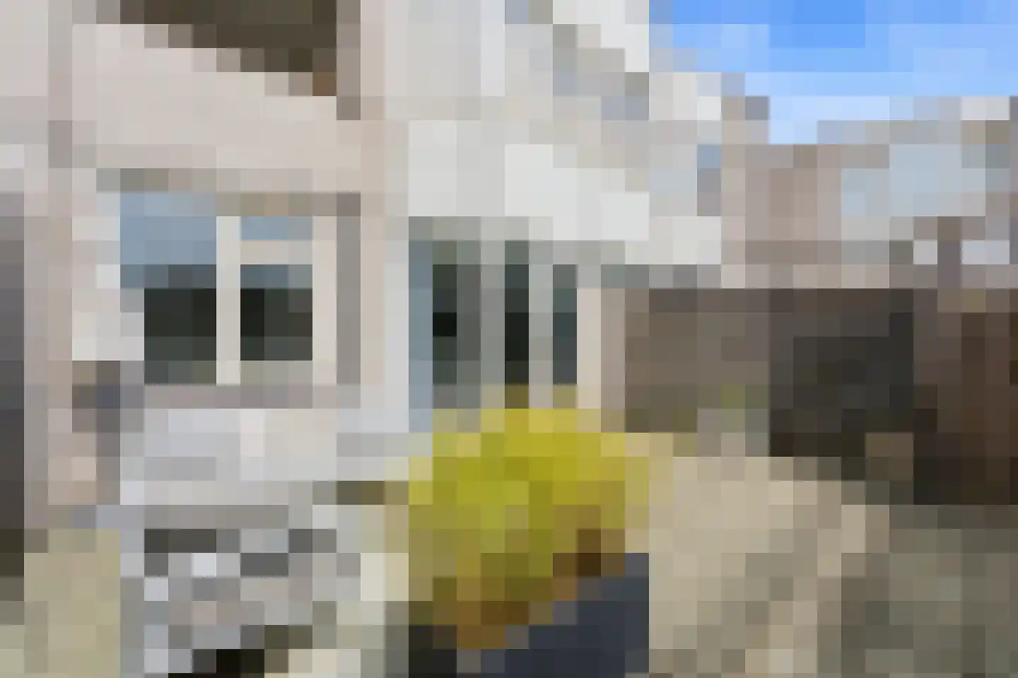 Filomeentje erf 102 Capelle aan den IJssel thumbnail 20