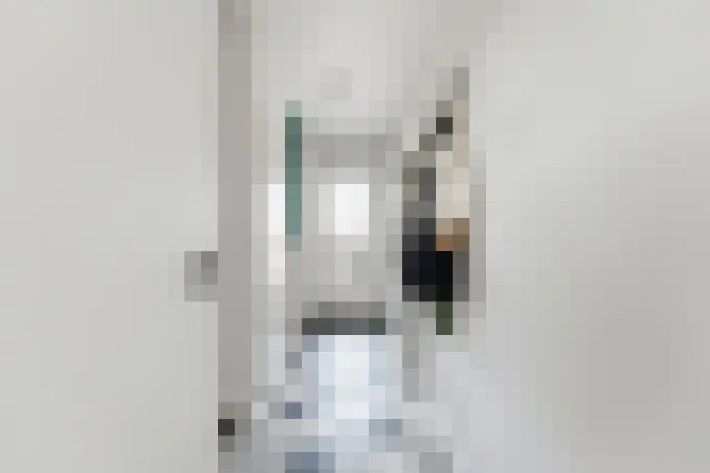 Filomeentje erf 102 Capelle aan den IJssel thumbnail 31