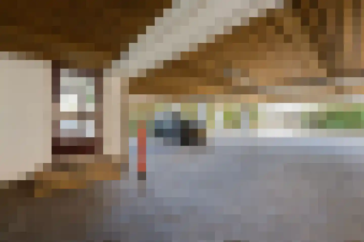 Filomeentje erf 102 Capelle aan den IJssel thumbnail 35
