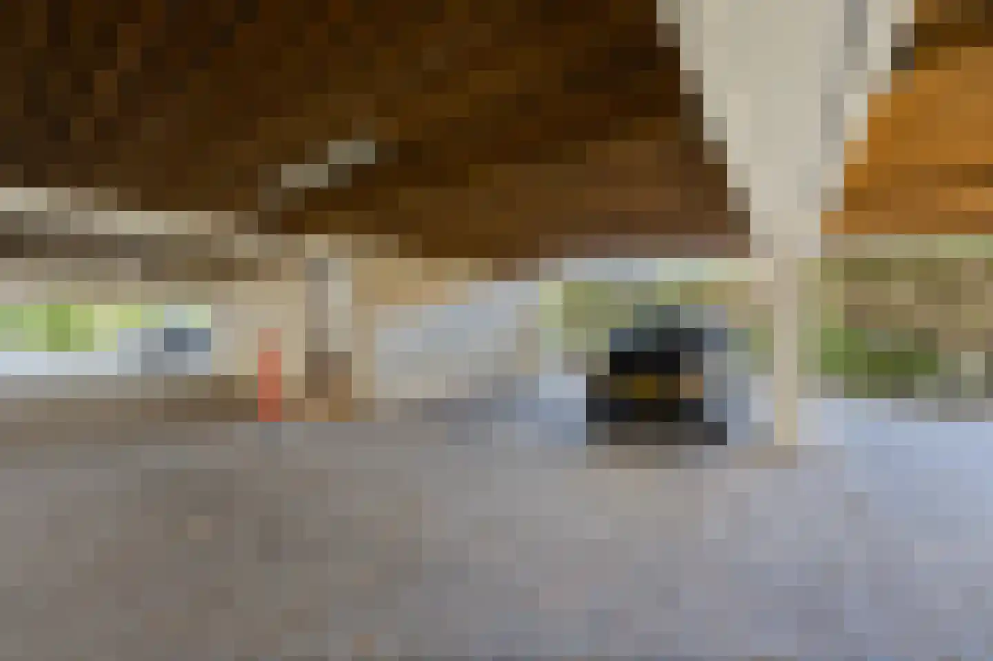 Filomeentje erf 102 Capelle aan den IJssel thumbnail 38