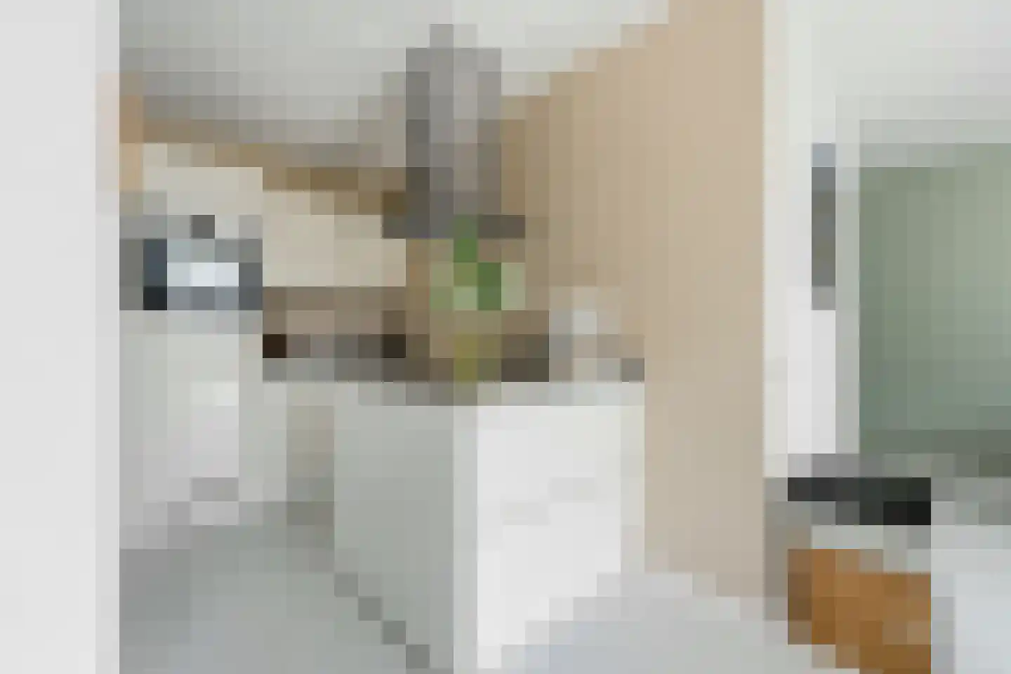 Filomeentje erf 102 Capelle aan den IJssel thumbnail 4