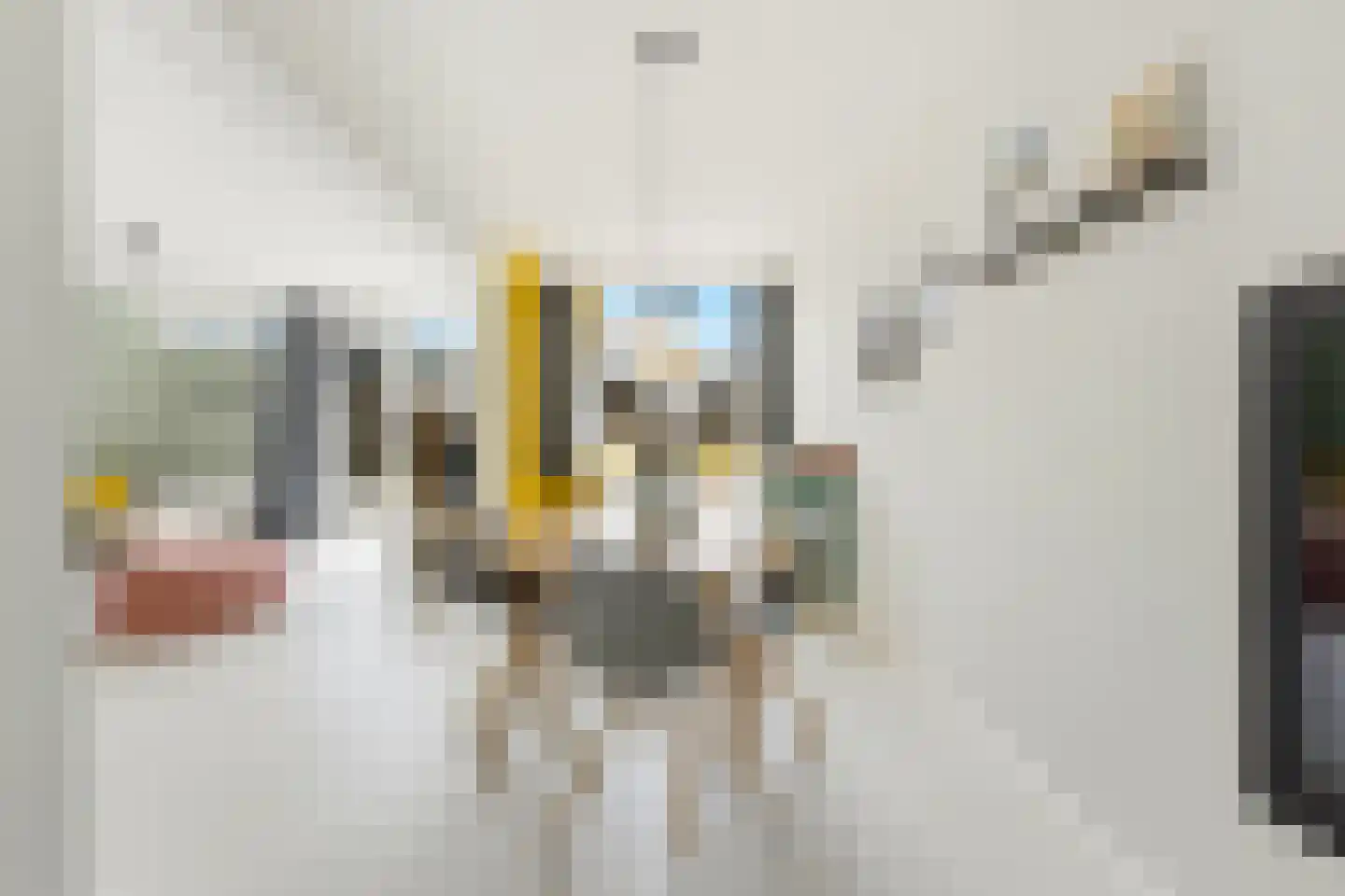 Filomeentje erf 102 Capelle aan den IJssel thumbnail 5
