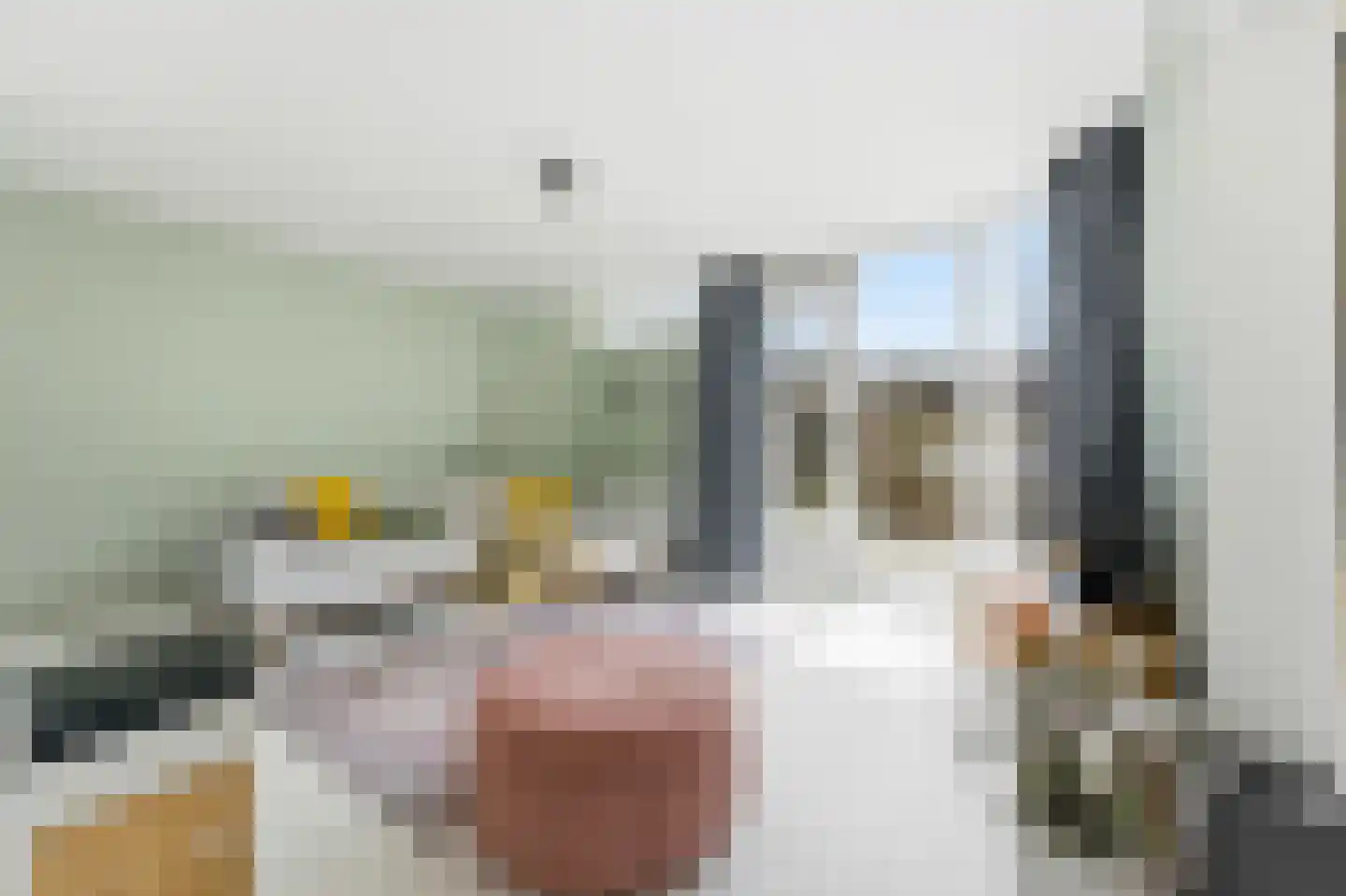 Filomeentje erf 102 Capelle aan den IJssel thumbnail 6