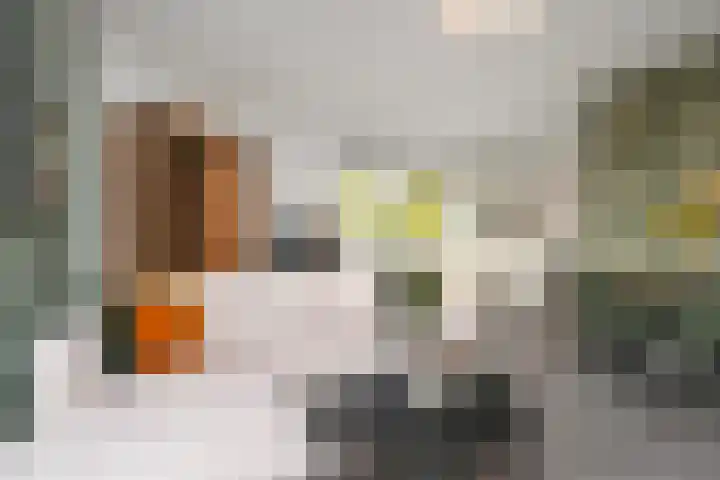 Filomeentje erf 106 Capelle aan den IJssel thumbnail 10
