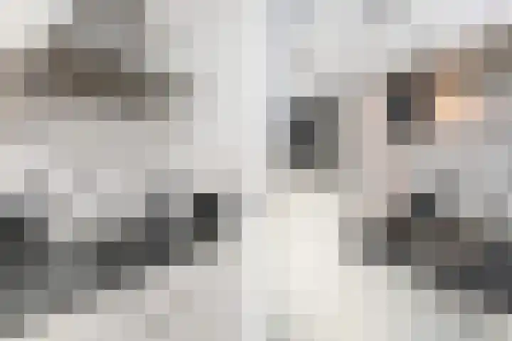 Filomeentje erf 106 Capelle aan den IJssel thumbnail 14