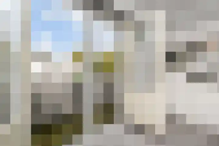 Filomeentje erf 106 Capelle aan den IJssel thumbnail 16
