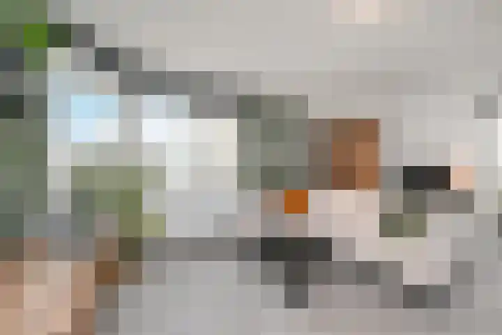 Filomeentje erf 106 Capelle aan den IJssel thumbnail 7