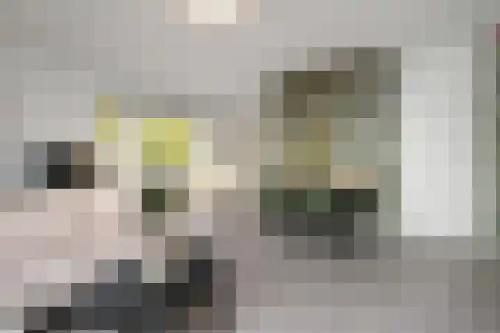Filomeentje erf 106 Capelle aan den IJssel thumbnail 9