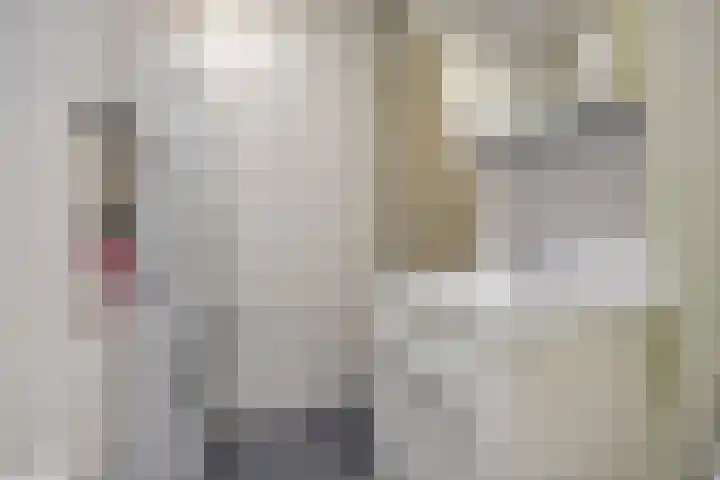 Filomeentje erf 44 Capelle aan den IJssel thumbnail 13