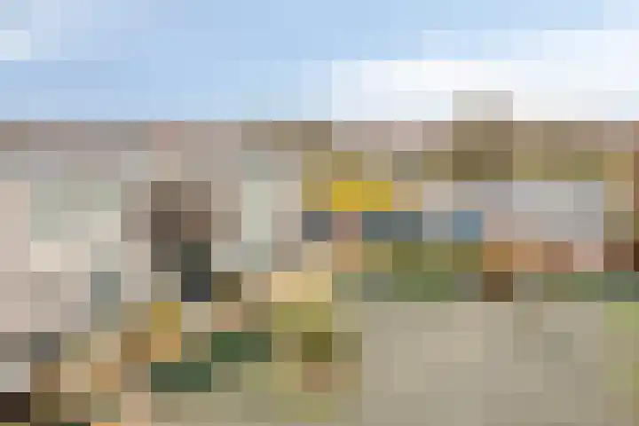 Filomeentje erf 44 Capelle aan den IJssel thumbnail 18