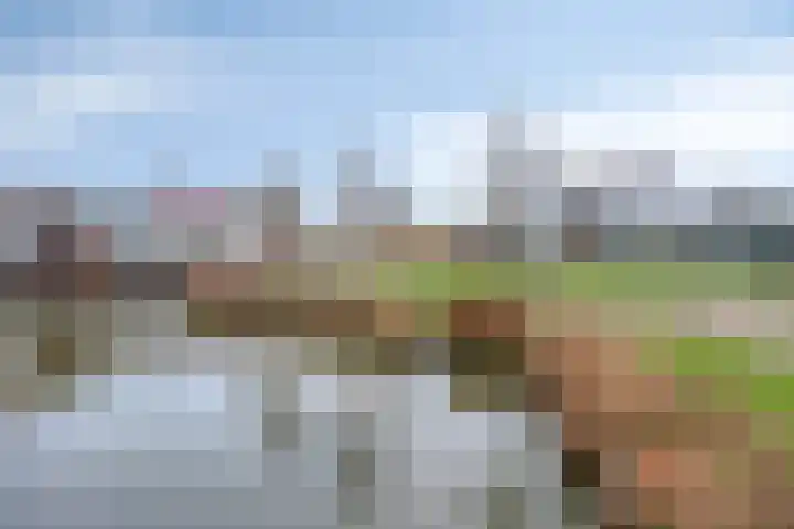 Filomeentje erf 44 Capelle aan den IJssel thumbnail 26