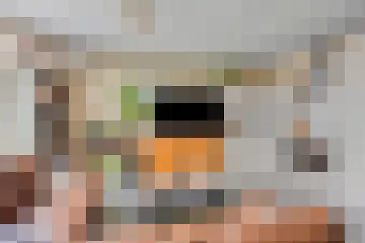 Filomeentje erf 44 Capelle aan den IJssel thumbnail 4