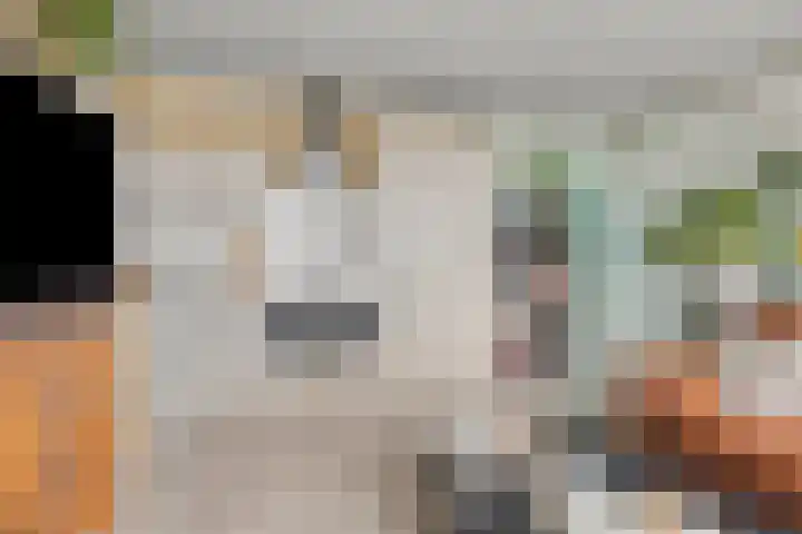 Filomeentje erf 44 Capelle aan den IJssel thumbnail 5