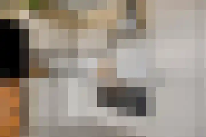 Filomeentje erf 44 Capelle aan den IJssel thumbnail 6