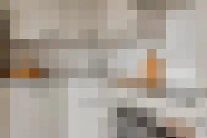Filomeentje erf 44 Capelle aan den IJssel thumbnail 7