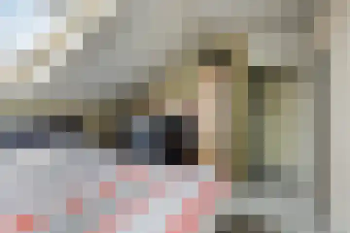 Filomeentje erf 44 Capelle aan den IJssel thumbnail 9