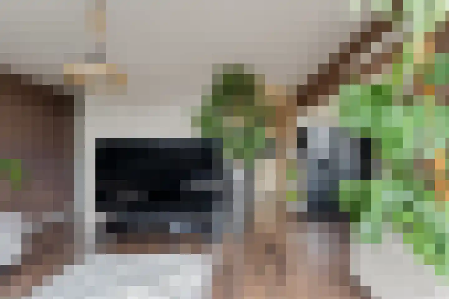 Filomeentje erf 52 Capelle aan den IJssel thumbnail 10
