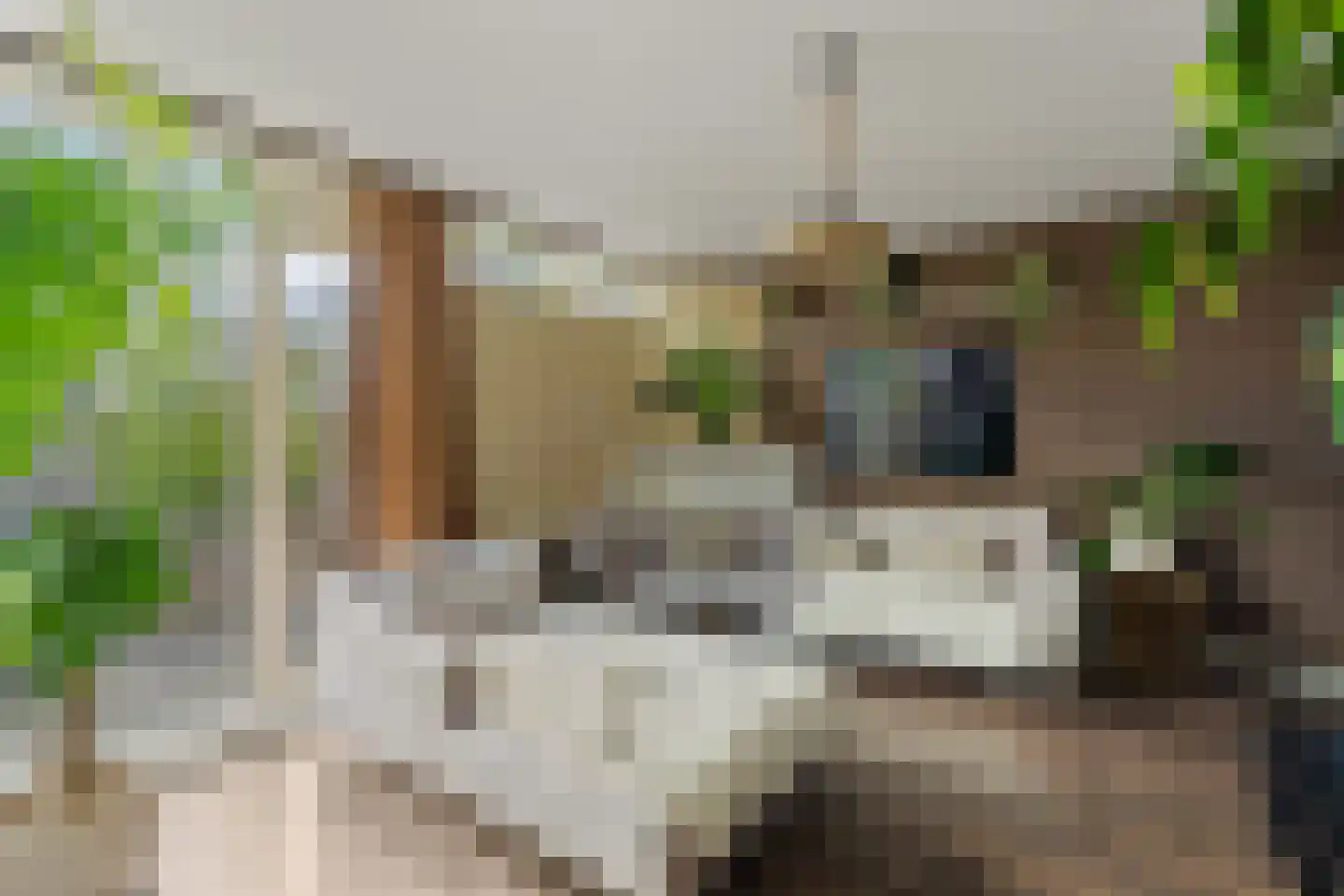 Filomeentje erf 52 Capelle aan den IJssel thumbnail 11