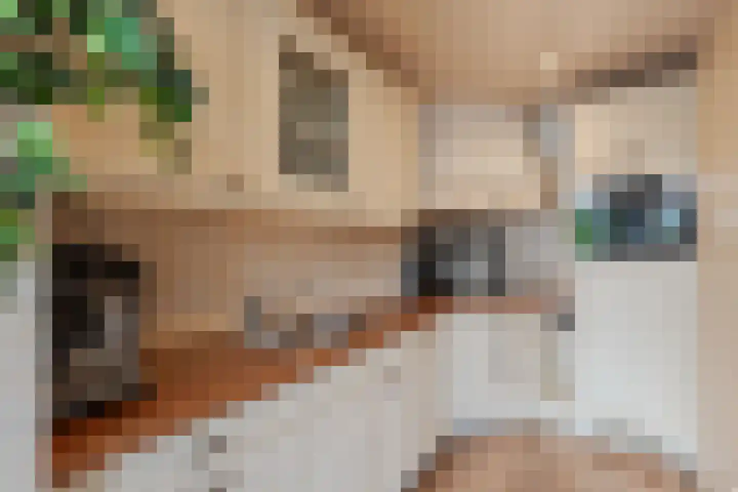 Filomeentje erf 52 Capelle aan den IJssel thumbnail 14