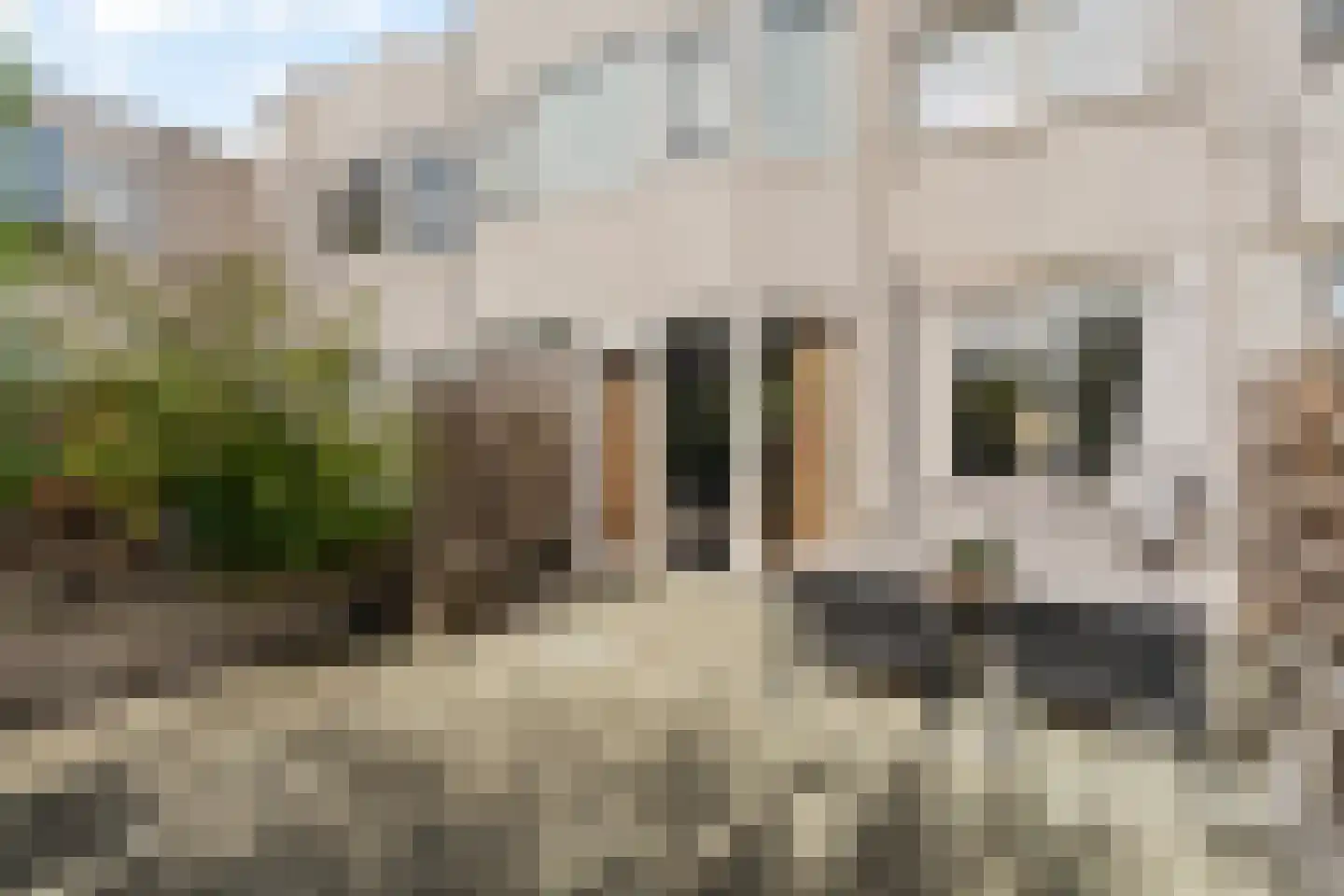 Filomeentje erf 52 Capelle aan den IJssel thumbnail 4