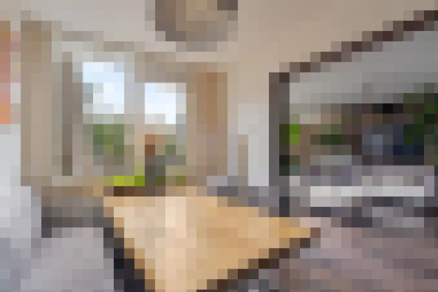 Filomeentje erf 52 Capelle aan den IJssel thumbnail 9